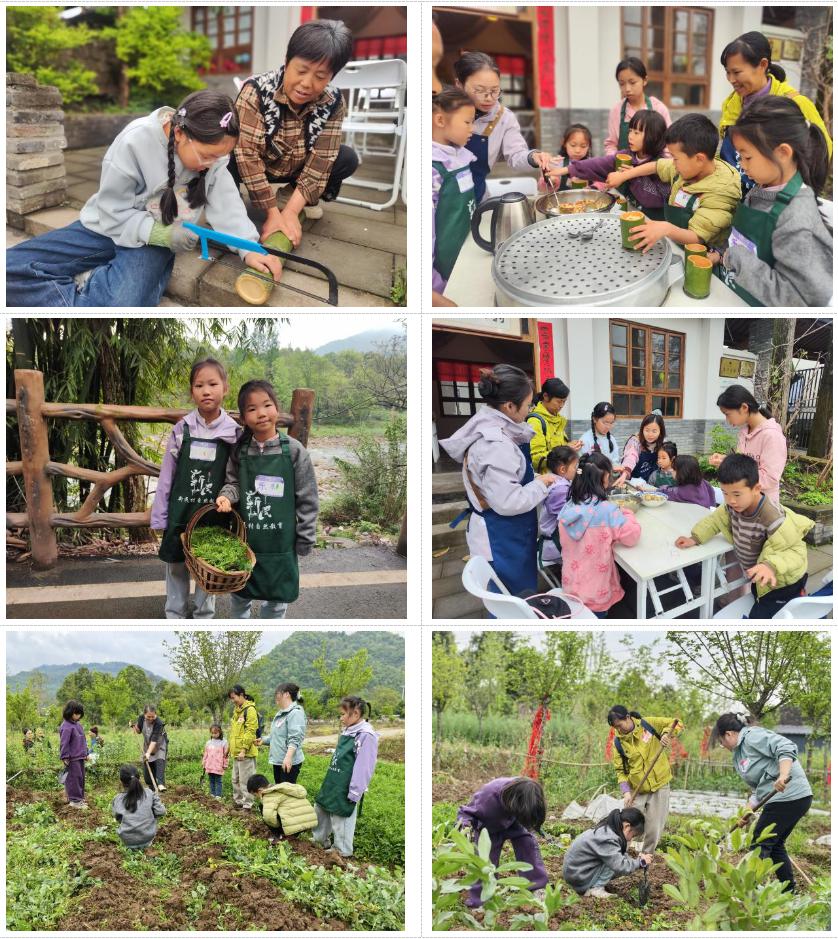 新民村创新研学实践:村民化身“文化主理人”,激活乡村内生发展新路径