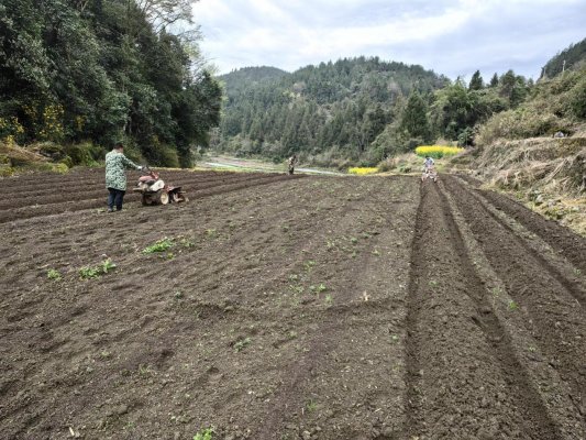 a9610616665d807a35415b8cca0fb92c_compress(2)