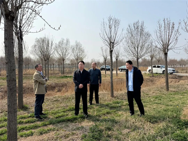 无棣县棣丰街道开展苗木产业发展情况走访调研