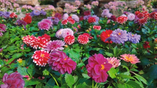 微信图片_2026-04-07_092205_389