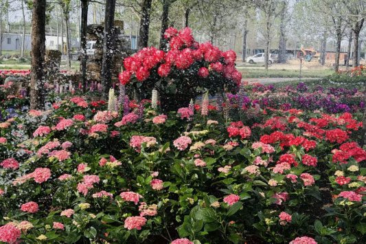 微信图片_2026-04-07_092247_173