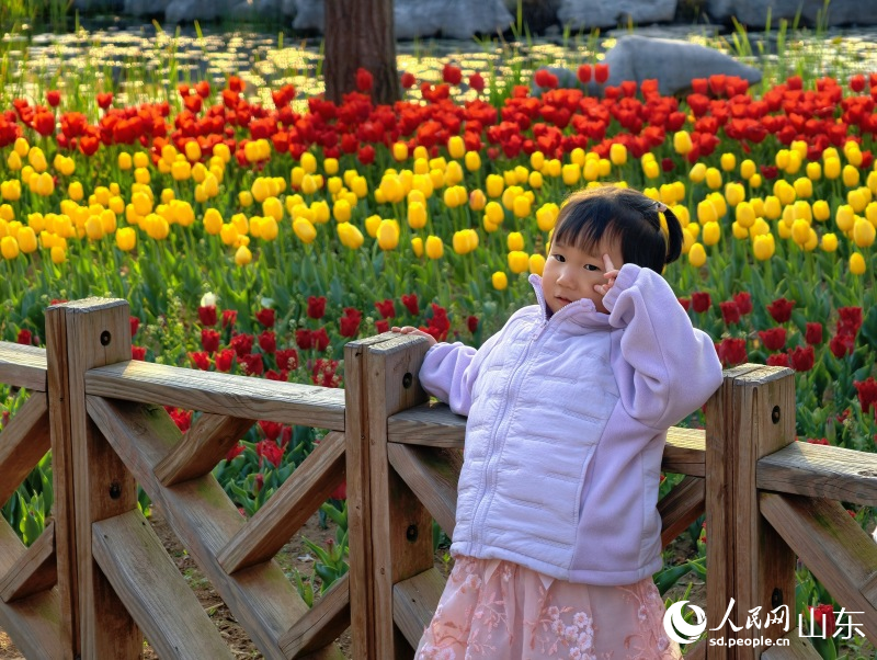 小朋友在花海前拍照留念。人民网记者 刘颖婕摄