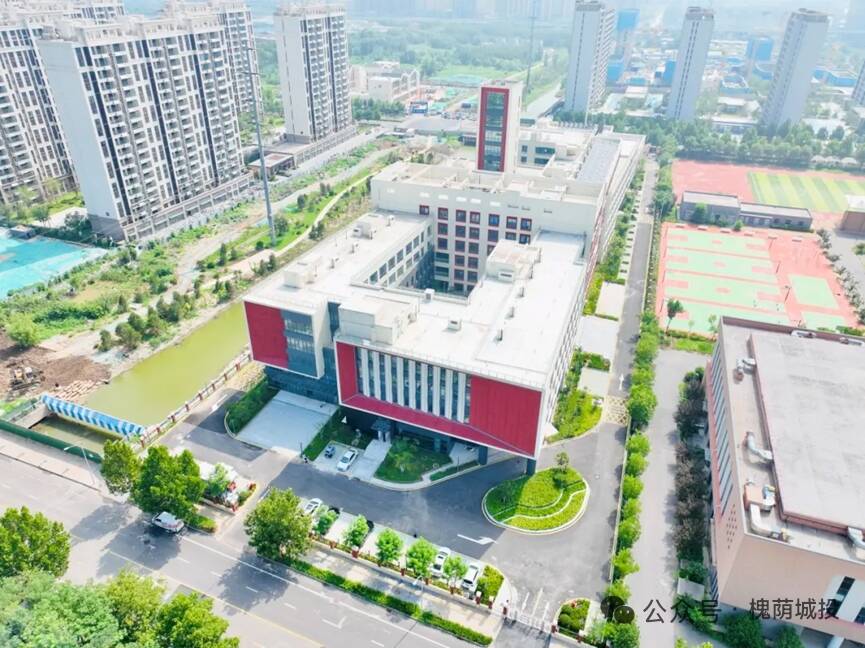 春风十美拂槐荫:在“医养之都”邂逅幸福养老的十种方式