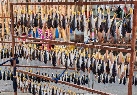 20251130市井海味