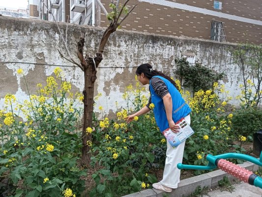 a69eeed2055757d65cb1e0d2cf18b13d