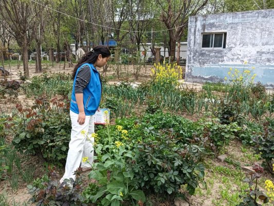 5fd84e9fc3dd564006bf9d736f0901e9