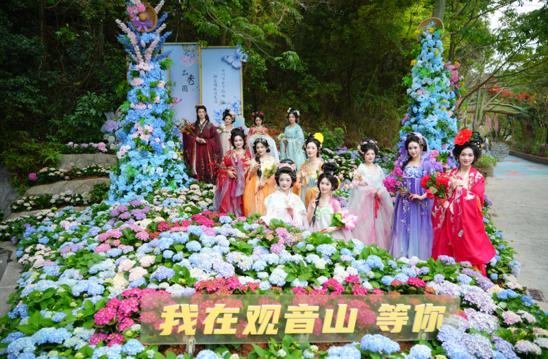 “赏花经济”中的“福山”：东莞观音山把春天玩出了新高度