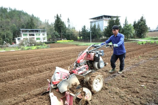 D:杨秀明20261.通讯田野三重奏响起交响曲起垄.JPG