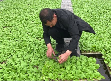 be458ff6-aff4-49ac-8bce-dca4027b596f