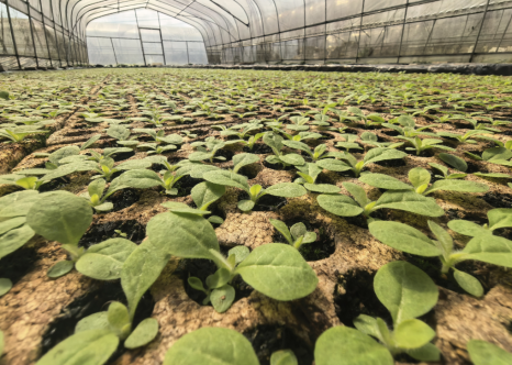 d68fb64786739b61ece7c0a6a09561ce_origin(2)