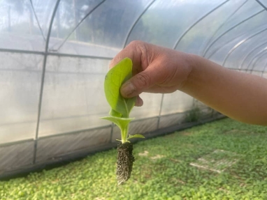 ff08e2d3f9a38ad32f044cbf90a47719