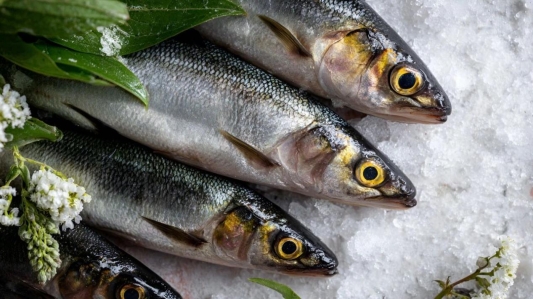 1bb2058aa144d4152903ed11df827605