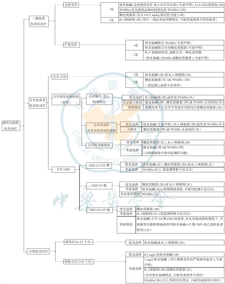 金蓓欣(伏欣奇拜单抗)解析:痛风急性发作与防复发的新选择