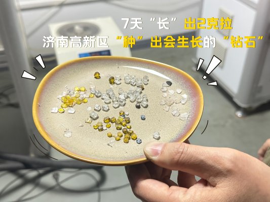 微信图片_20260416162920_11034_20