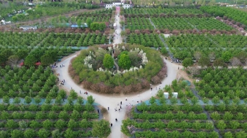 DJI_0496