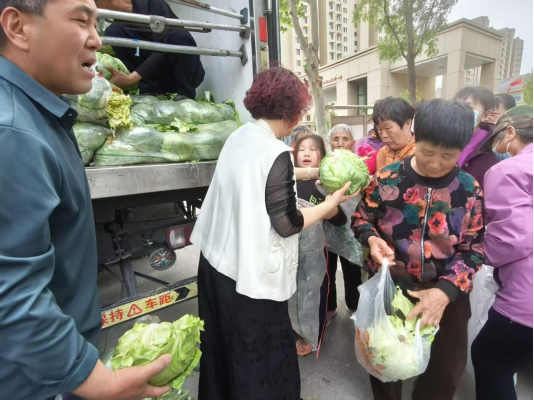 图片11