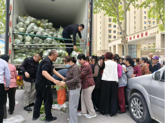 图片10