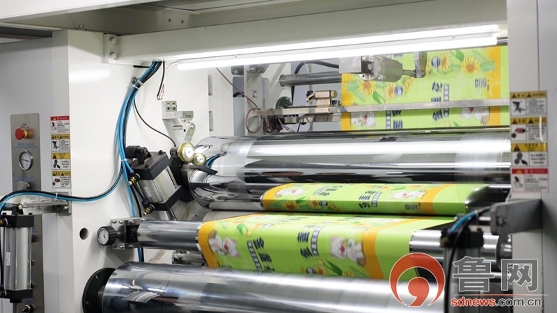 小宠物撬动大消费——枣庄高新区加速构建宠物经济产业聚落(图5)