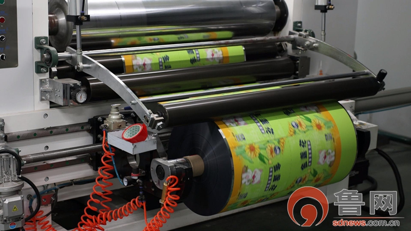 小宠物撬动大消费——枣庄高新区加速构建宠物经济产业聚落(图6)