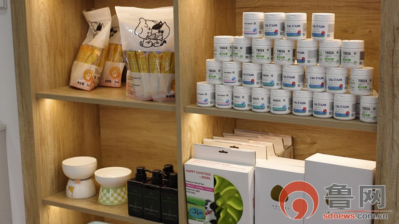 小宠物撬动大消费——枣庄高新区加速构建宠物经济产业聚落(图1)