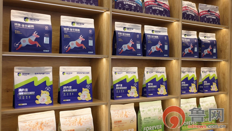 小宠物撬动大消费——枣庄高新区加速构建宠物经济产业聚落(图3)