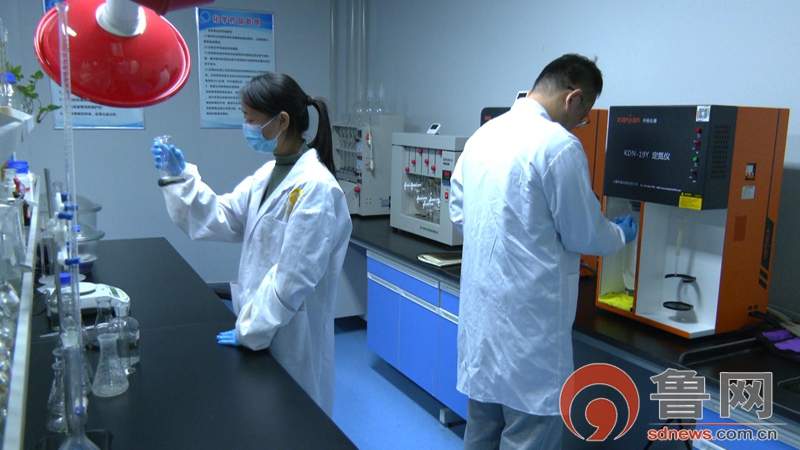 小宠物撬动大消费——枣庄高新区加速构建宠物经济产业聚落(图2)