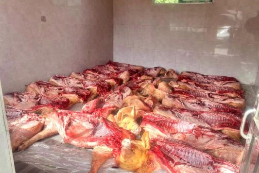 D:杨秀明20261.通讯4.30腊肉飘香鲜肉.jpg