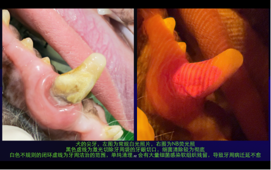 57ae740759d206a623e1f0cb78513258