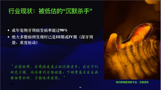 QQ20260429-095052
