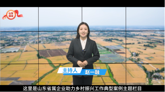 国资委乡村振兴栏目主持人