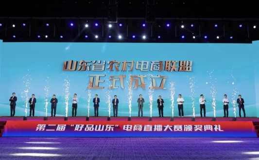 第二届“好品山东”电商直播大赛圆满收官数实融合绘就齐鲁电商高质量发展新画卷(图4)
