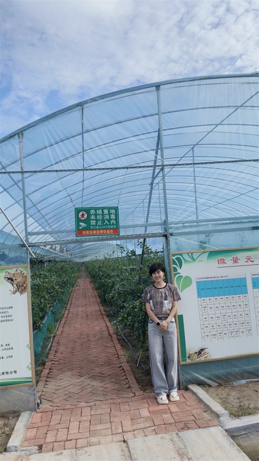 陆玲辉工作照3