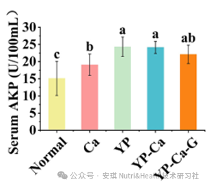 酵母蛋白AngeoPro®:开启骨骼健康新密码