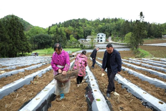 D:杨秀明20261.通讯4.37从大窝子到小井窖2Y1A1337.JPG