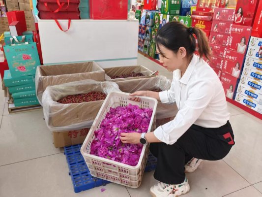 玫永利皇宫- 永利皇宫官网- 娱乐城APP瑰花香中的“志愿红”