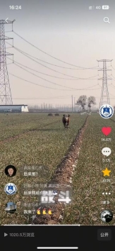 微信图片_20250725084839