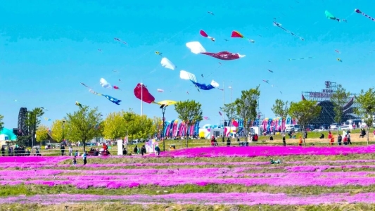 中国旅游日|在潍坊,来一场“班味儿清除计划”
