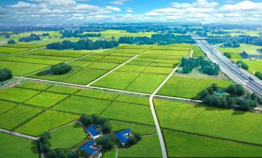 中建新疆建工深耕大邑高标准农田,绘就天府粮仓新画卷