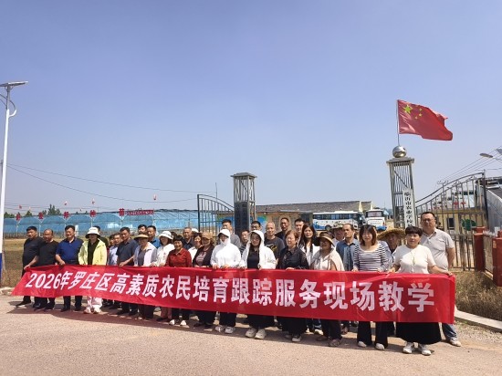 庄稼往上长 服务往下沉——罗庄区推动基层农技服务常态化下沉
