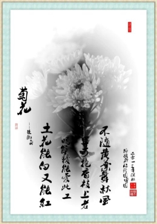 菊