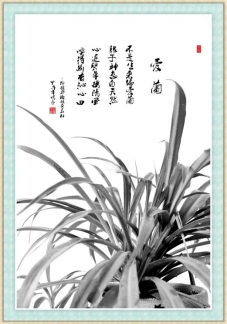 兰