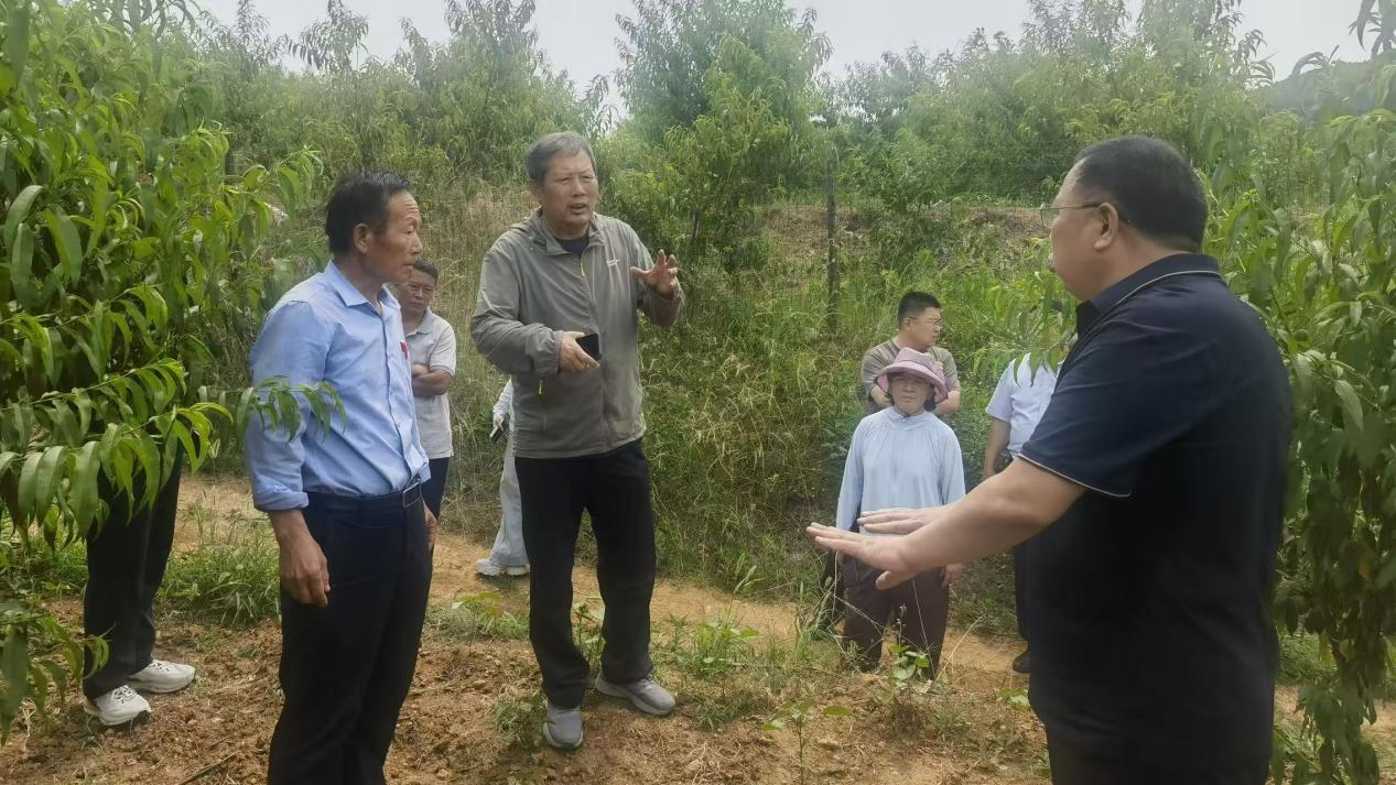 省科技厅“黄河流域专家基层行”活动走进东平县大羊镇