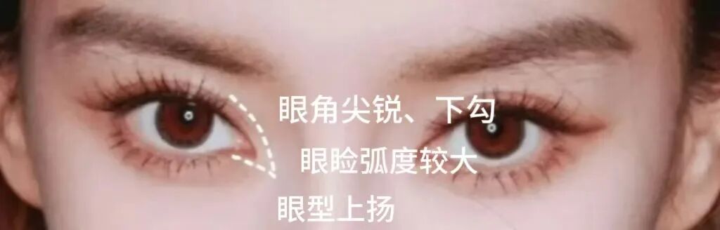 微信图片_20250306164218.jpg