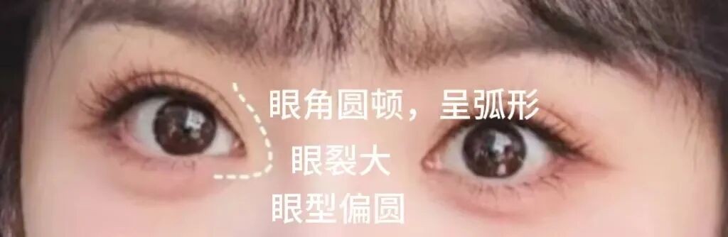 微信图片_20250306164223.jpg