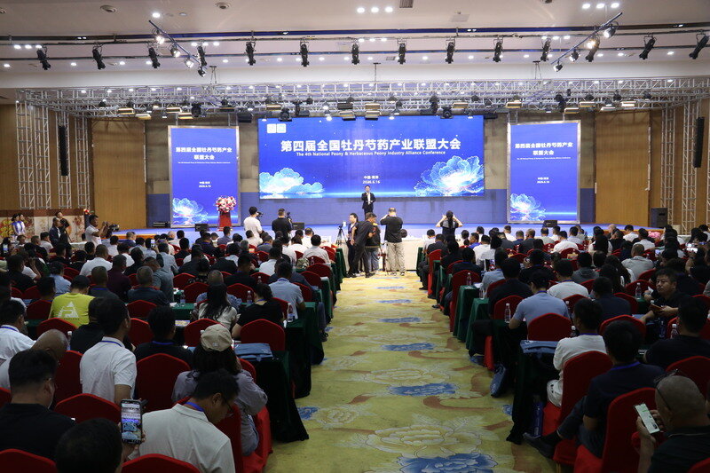 2026全国牡丹芍药产业联盟大会暨种苗推介会在菏泽举行