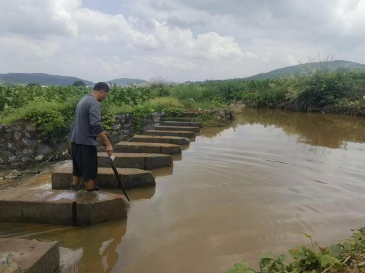湖南桂阳烟草:闻“汛”而动抢先机风雨守叶护仓实(图1)