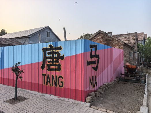 济宁市鱼台县唐马镇:一村景致一城新文旅融合促振兴(图1)