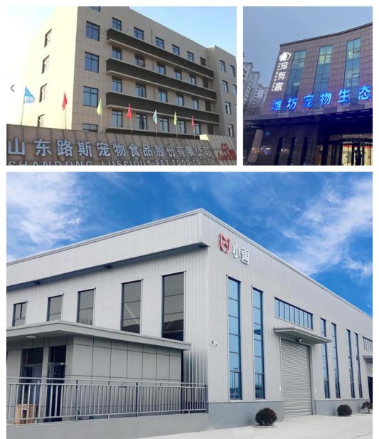 潍坊要做宠物经济高地(图3)