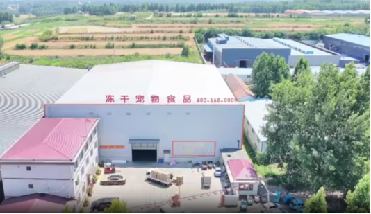 潍坊要做宠物经济高地(图1)