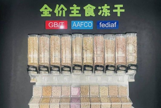 潍坊要做宠物经济高地(图2)